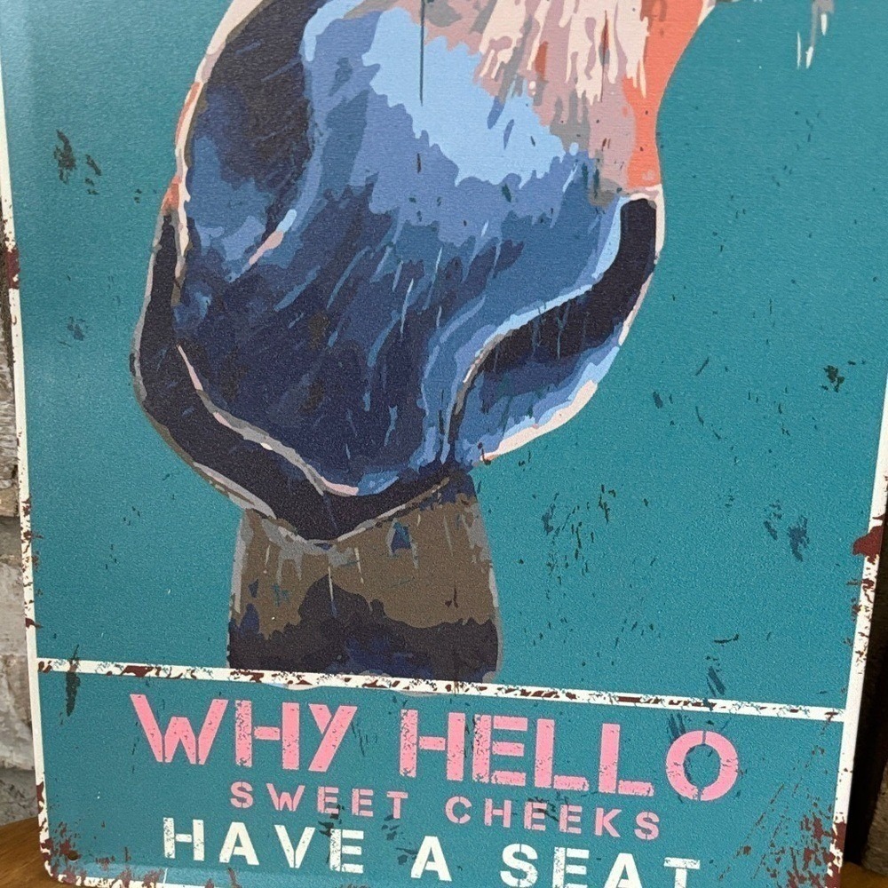 Horse Bathroom Sign "Why Hello Sweet Cheeks" Metal Wall Art Pop Art Funny GIFT - Picture 3 of 7